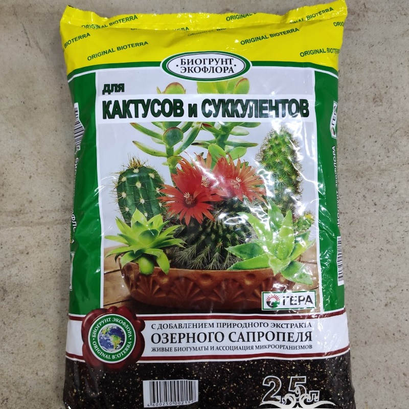 Экофлора Магазин Цветов Москва