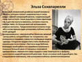 Композиция "Эльза Скиапарелли 2" в сумке с горшечными растениями