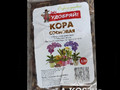 Кора Сосны