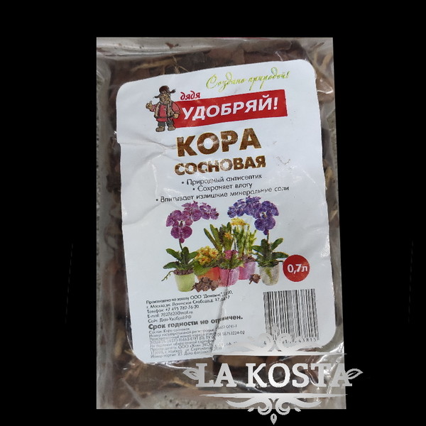 100% уникальные фото Кора Сосны