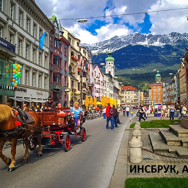 100% уникальные фото Композиция "Инсбрук" с суккулентами